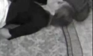 Messico troie attempate teen su strada Dilettante